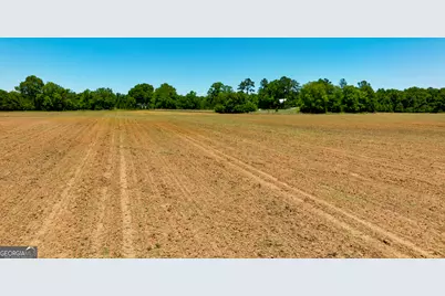246 Melton Mill Road, Dawson, GA 39842 - Photo 53