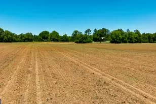 246 Melton Mill Rd, Dawson, GA 39842 - Photo 53