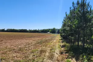 246 Melton Mill Rd, Dawson, GA 39842 - Photo 71