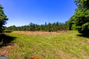 246 Melton Mill Rd, Dawson, GA 39842 - Photo 7