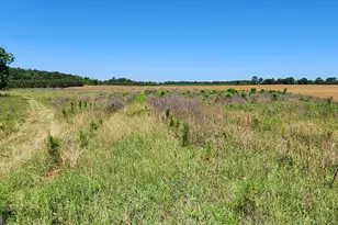246 Melton Mill Rd, Dawson, GA 39842 - Photo 11
