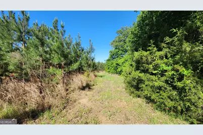 246 Melton Mill Road, Dawson, GA 39842 - Photo 63