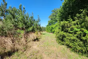 246 Melton Mill Rd, Dawson, GA 39842 - Photo 63