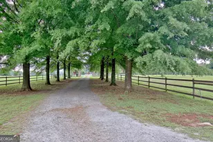 105 Bell Springs Rd, Senoia, GA 30276 - Photo 3