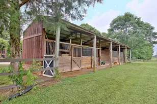 105 Bell Springs Rd, Senoia, GA 30276 - Photo 7