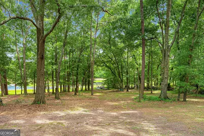 465 Water Oak Dell Drive, Lavonia, GA 30553 - Photo 7