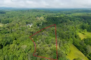 55 Hallee Dr, Mineral Bluff, GA 30559 - Photo 21