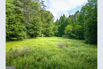 55 Hallee Drive, Mineral Bluff, GA 30559 - Photo 17