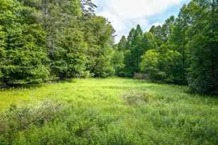 55 Hallee Dr, Mineral Bluff, GA 30559 - Photo 17