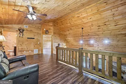 55 Hallee Drive, Mineral Bluff, GA 30559 - Photo 51