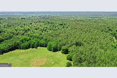 X0X0 Court Ground Road, Washington, GA 30673 - Photo 11