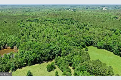 X0X0 Court Ground Road, Washington, GA 30673 - Photo 7