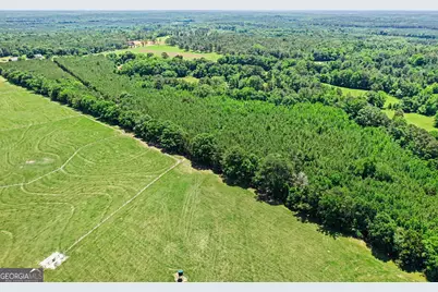 X0X0 Court Ground Road, Washington, GA 30673 - Photo 9