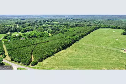 X0X0 Court Ground Road, Washington, GA 30673 - Photo 13