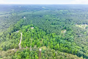 316 Biltmore Rd, Mansfield, GA 30055 - Photo 53