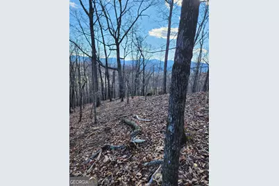 0 Trackrock Gap Road, Blairsville, GA 30514 - Photo 5