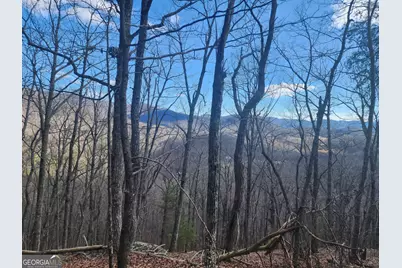 0 Trackrock Gap Road, Blairsville, GA 30514 - Photo 3