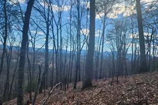 0 Trackrock Gap Rd, Blairsville, GA 30514 - Photo 1
