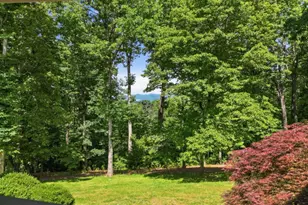 1110 Chatsworth Hwy, Ellijay, GA 30540 - Photo 49