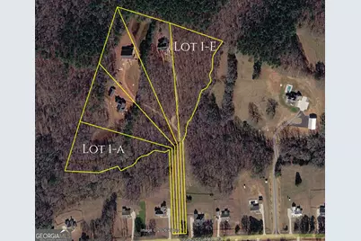 4023 Jersey Covington Road, Covington, GA 30014 - Photo 1