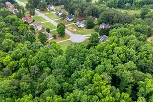 375 Gaelic Way, Tyrone, GA 30290 - Photo 53