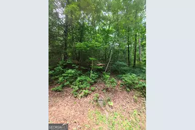 201 Spookhaven Lane, Clarkesville, GA 30523 - Photo 15
