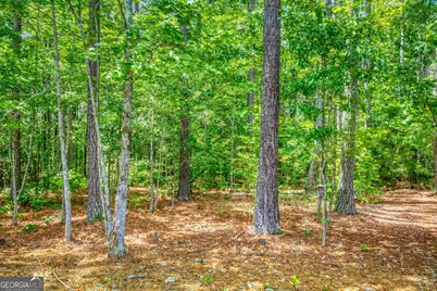 2529 Shockley Springs Drive, Monroe, GA 30656 - Photo 41