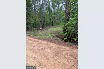0 Highway 46, Cadwell, GA 31009 - Photo 1