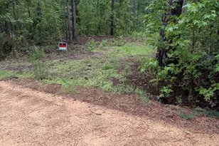 0 Hwy 46, Cadwell, GA 31009 - Photo 1