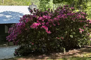 668 Cross St, Clayton, GA 30525 - Photo 7