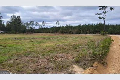 88 Rogers Break Road, Jesup, GA 31546 - Photo 13