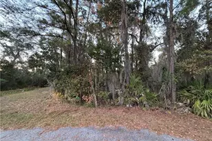147 Picket Run, Brunswick, GA 31520 - Photo 1
