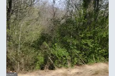 1109 Dixon Bridge Road, Maysville, GA 30558 - Photo 15