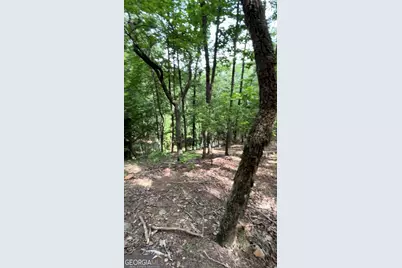 2111 Valley View Drive, Big Canoe, GA 30143 - Photo 3