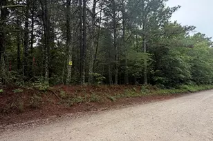 0 Teague Rd, Waco, GA 30182 - Photo 1