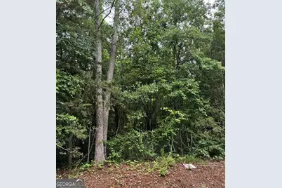 0 Lewis Lot 17 Drive, Lavonia, GA 30553 - Photo 1