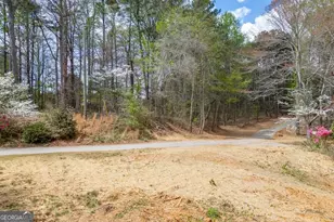 7910 Lotus Walk, Cumming, GA 30041 - Photo 9