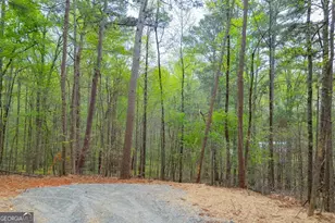 7950 Lotus Walk, Cumming, GA 30041 - Photo 11
