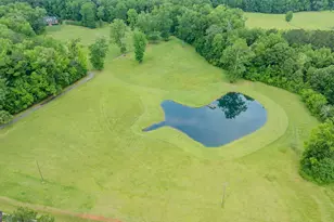 699 Bankstown Rd, Brooks, GA 30205 - Photo 79