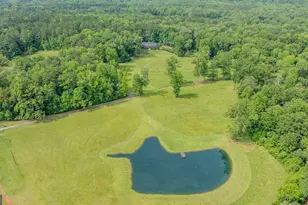 699 Bankstown Rd, Brooks, GA 30205 - Photo 97