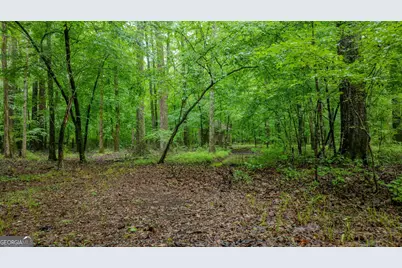 699 Bankstown Road, Brooks, GA 30205 - Photo 105