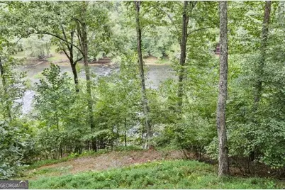92 Fish Trap Road #10, Mineral Bluff, GA 30559 - Photo 31