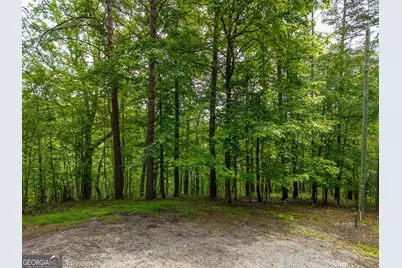1331 Birch Lane NE, Ranger, GA 30734 - Photo 3