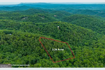 1332 Birch Lane NE, Ranger, GA 30734 - Photo 19