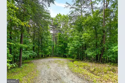 1332 Birch Lane NE, Ranger, GA 30734 - Photo 1
