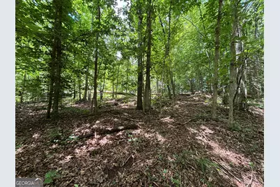 0 Crest View Drive, Cleveland, GA 30528 - Photo 5