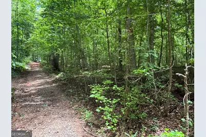 0 Crest View Drive, Cleveland, GA 30528 - Photo 21