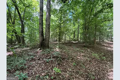 0 Crest View Drive, Cleveland, GA 30528 - Photo 13