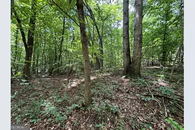 0 Crest View Drive, Cleveland, GA 30528 - Photo 15