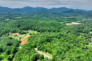93 Collins Nursery Ln, Blairsville, GA 30512 - Photo 49